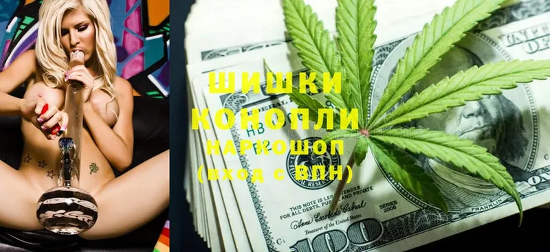 Каннабис OG Kush  Богородицк 